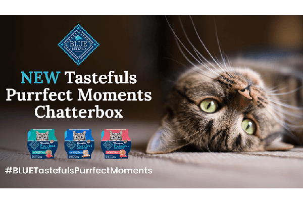Free Blue Buffalo Cat Food