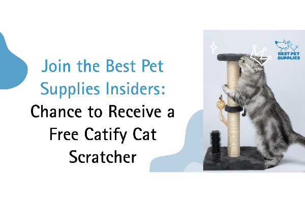 Free Catify Scratch Post