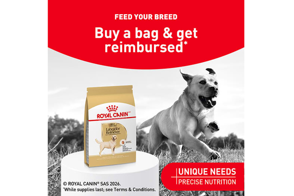Free Royal Canin Dry Food